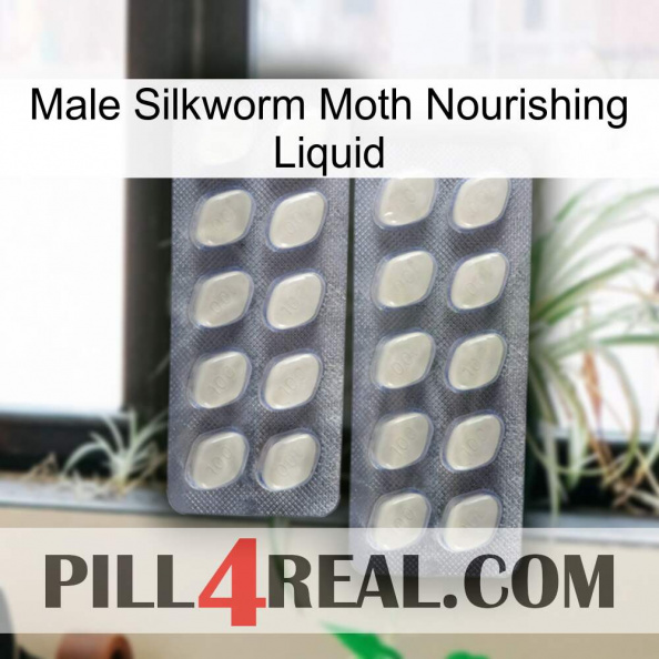 Male Silkworm Moth Nourishing Liquid 07